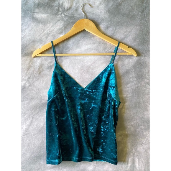 NWOT F21 Velvet Tank - Picture 3 of 11